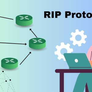 پروتکل RIP چیست